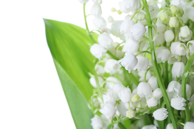 Beautiful lily of the valley flowers on white background, closeup