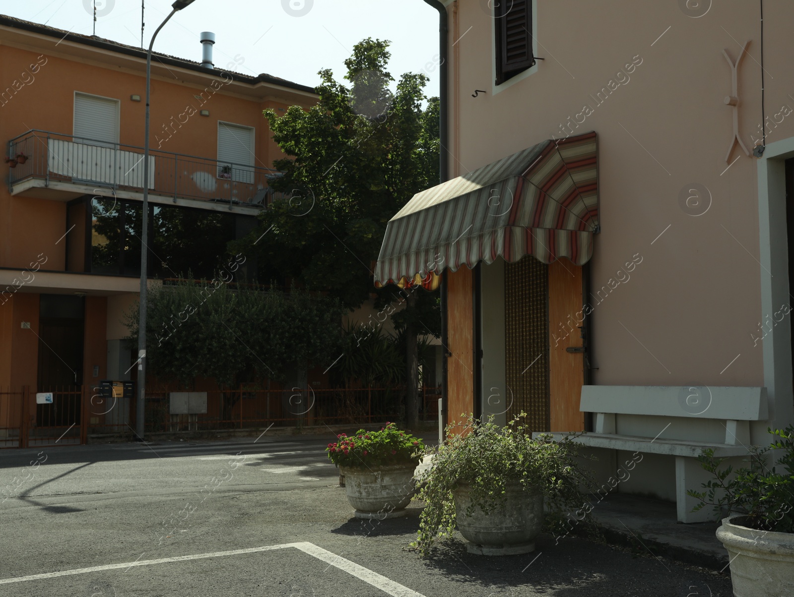 Photo of Beautiful potted plants and bench near building outdoors