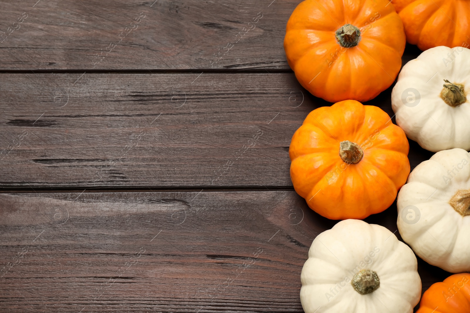 Photo of Many white and orange pumpkins on wooden table, flat lay. Space for text