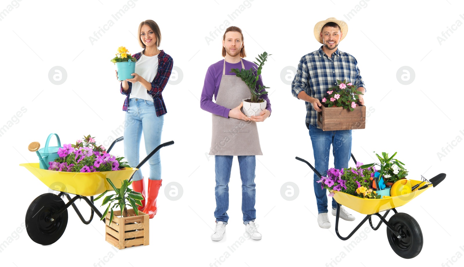 Image of Collage of florists with plants on white background