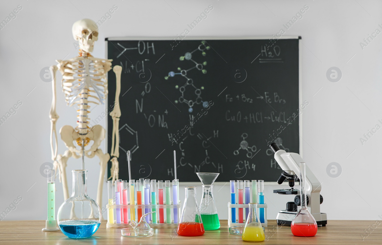 Photo of Different chemistry glassware and skeleton in classroom