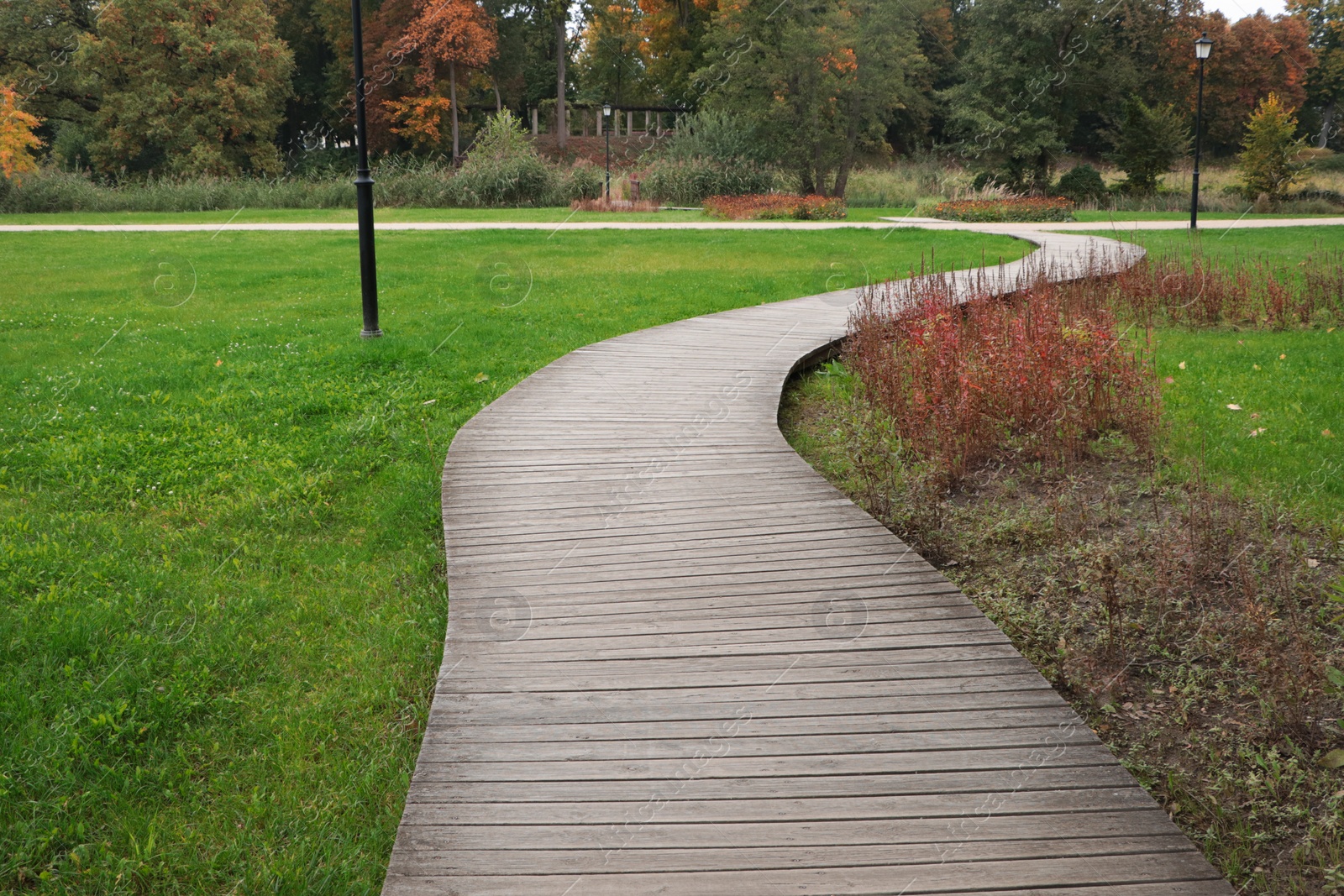 Photo of Beautiful public city park with pathway and green grass