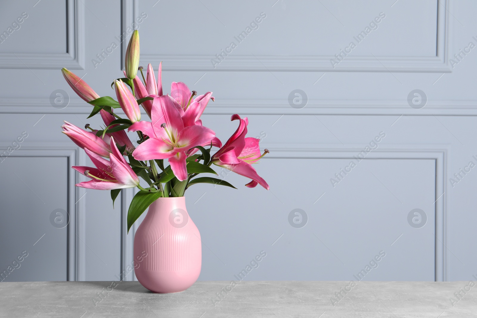 Photo of Beautiful pink lily flowers in vase on table against light wall, space for text