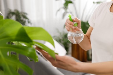 Photo of Woman spraying beautiful houseplants with water at home, closeup
