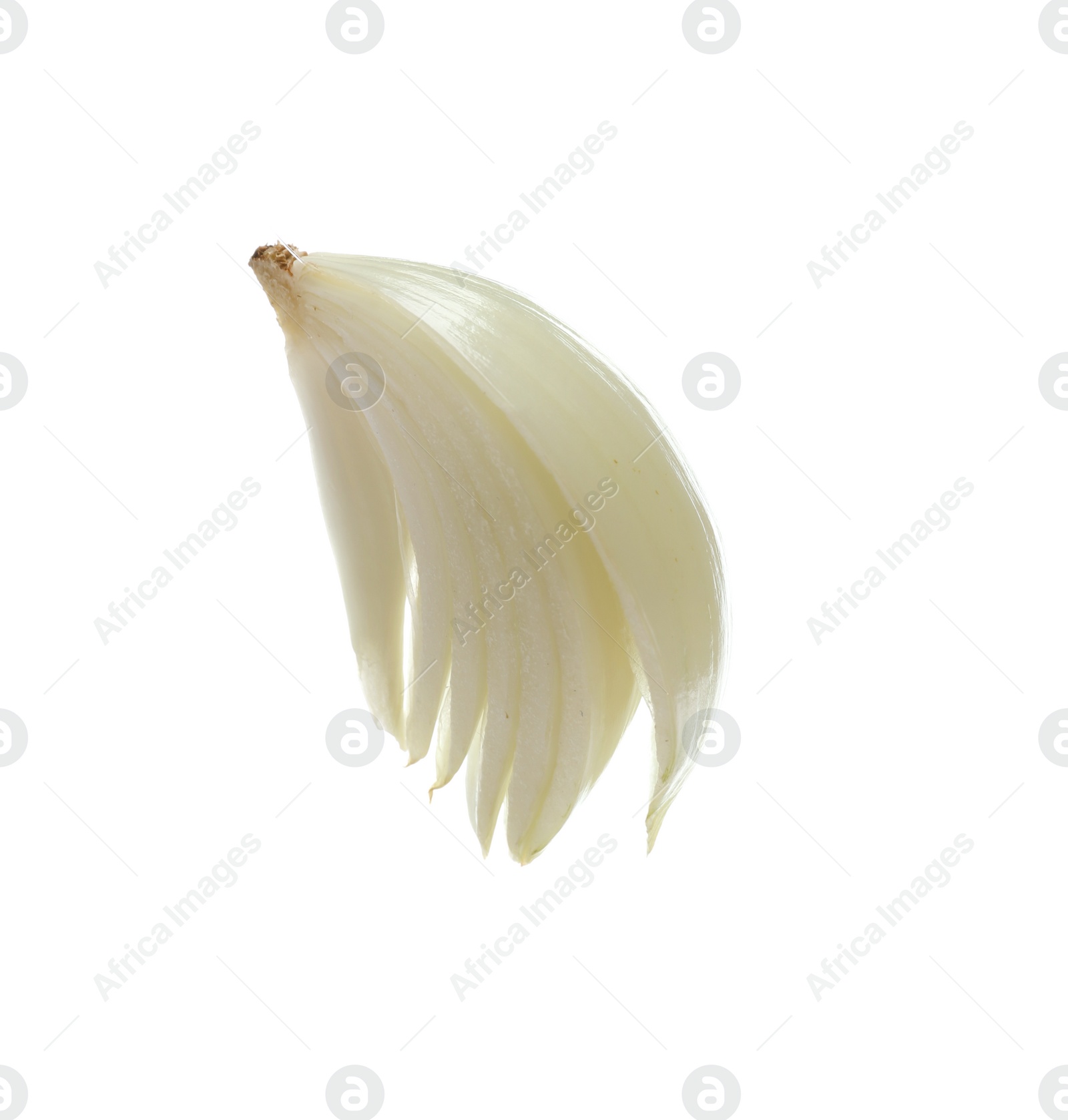 Photo of Slice of fresh ripe onion on white background