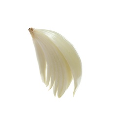 Photo of Slice of fresh ripe onion on white background