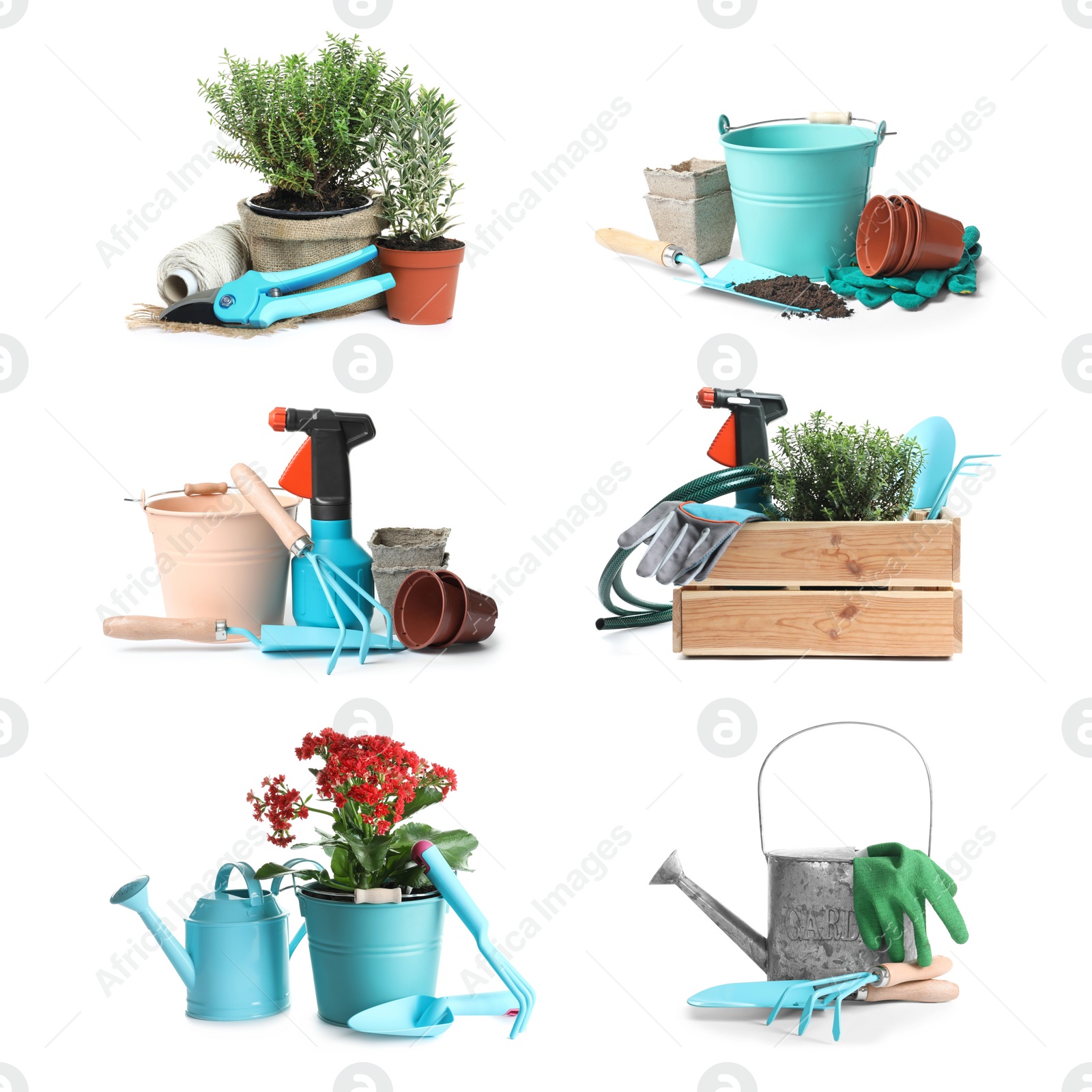 Image of Set with different gardening tools and plants on white background 