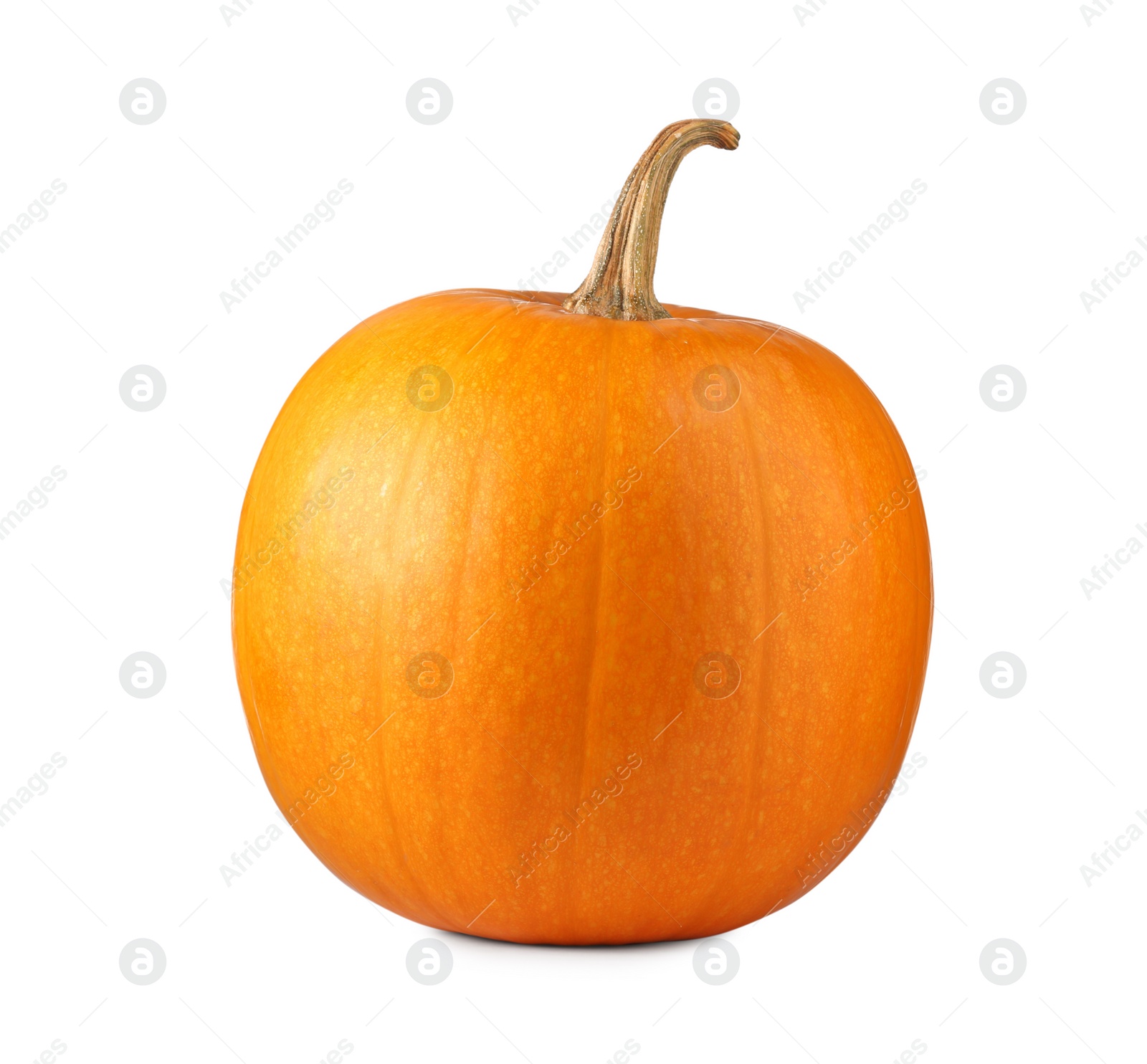 Photo of One fresh orange pumpkin isolated on white