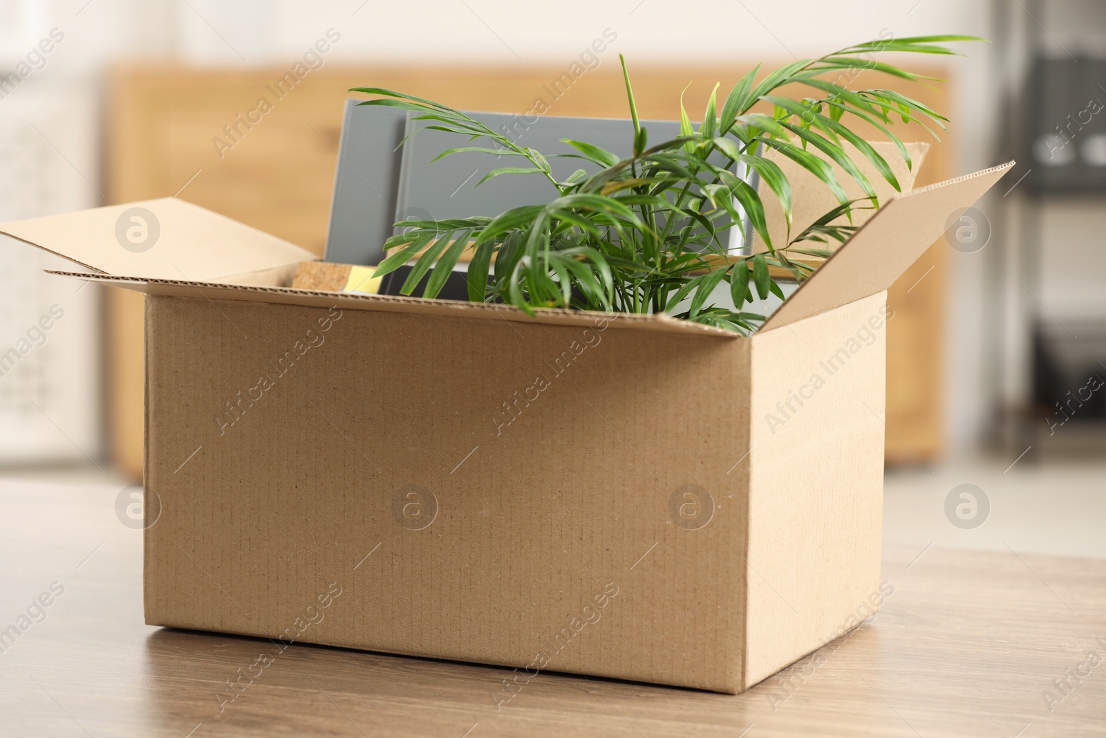 Photo of Unemployment problem. Box with worker's personal belongings on table in office