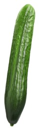 One long fresh cucumber isolated on white