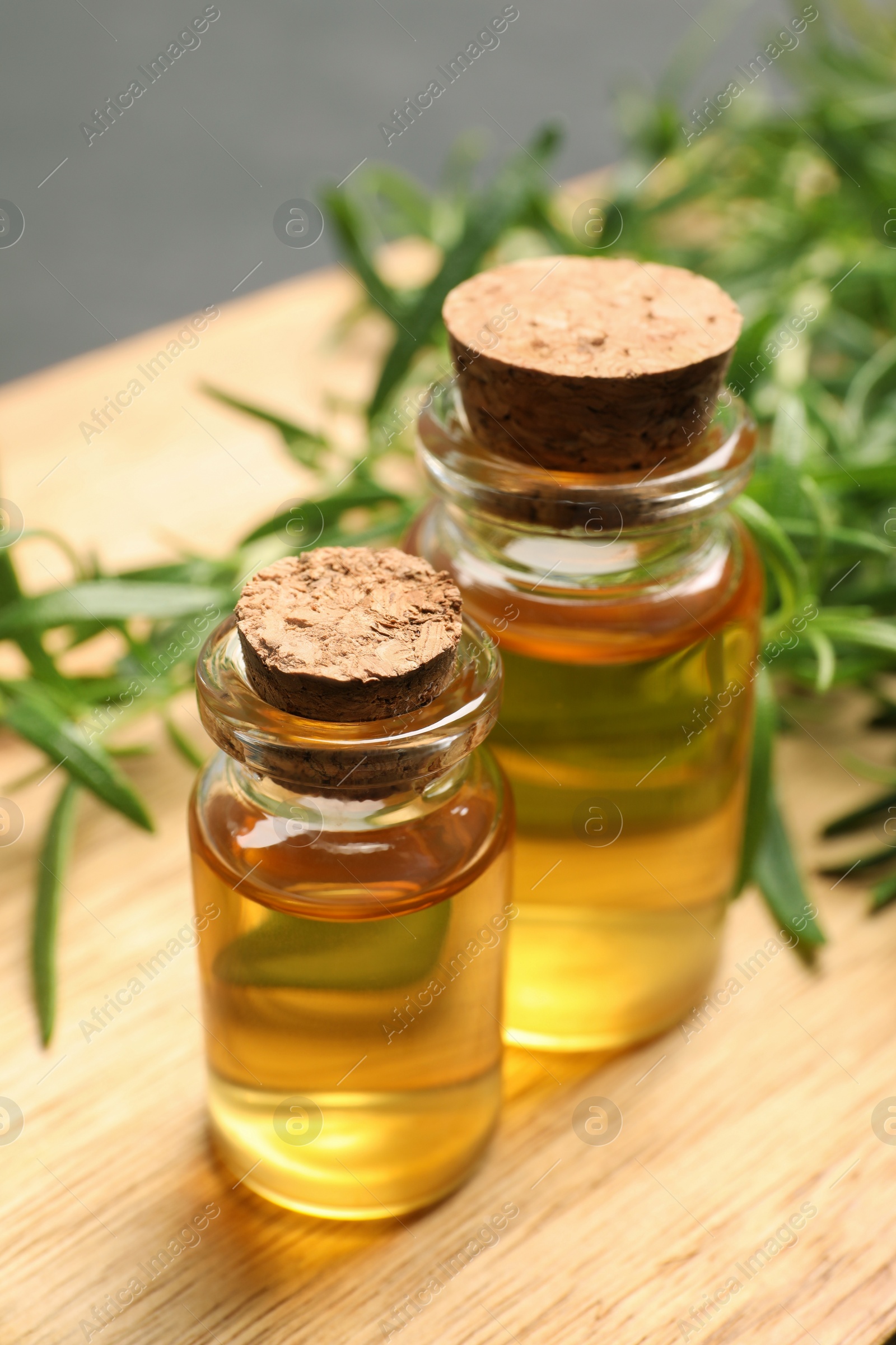 Photo of Bottles of essential oil and fresh rosemary sprigs on table, closeup