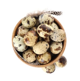 Photo of Bowl with speckled quail eggs and feathers isolated on white, top view