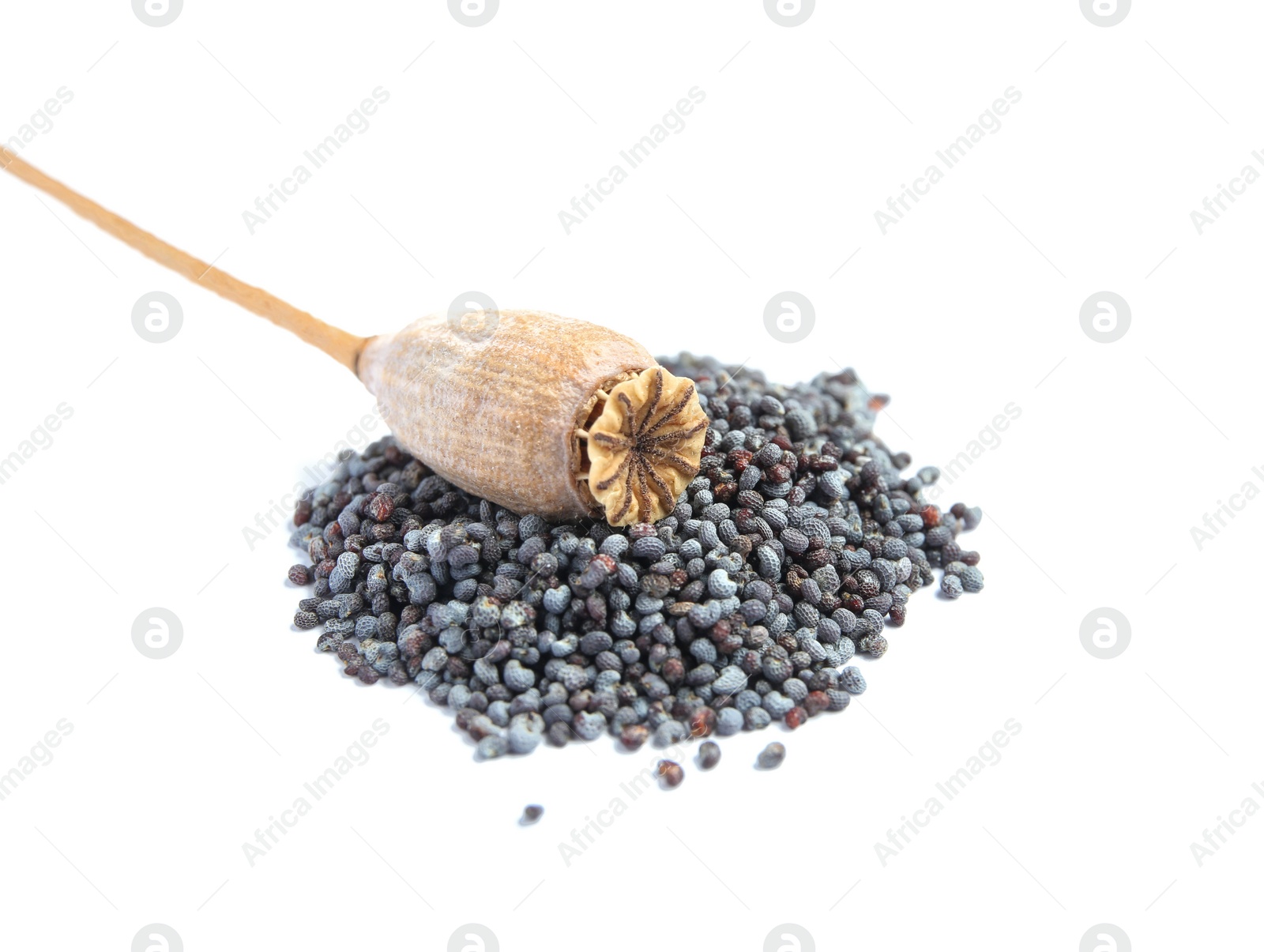 Photo of Dry poppy head and seeds on white background