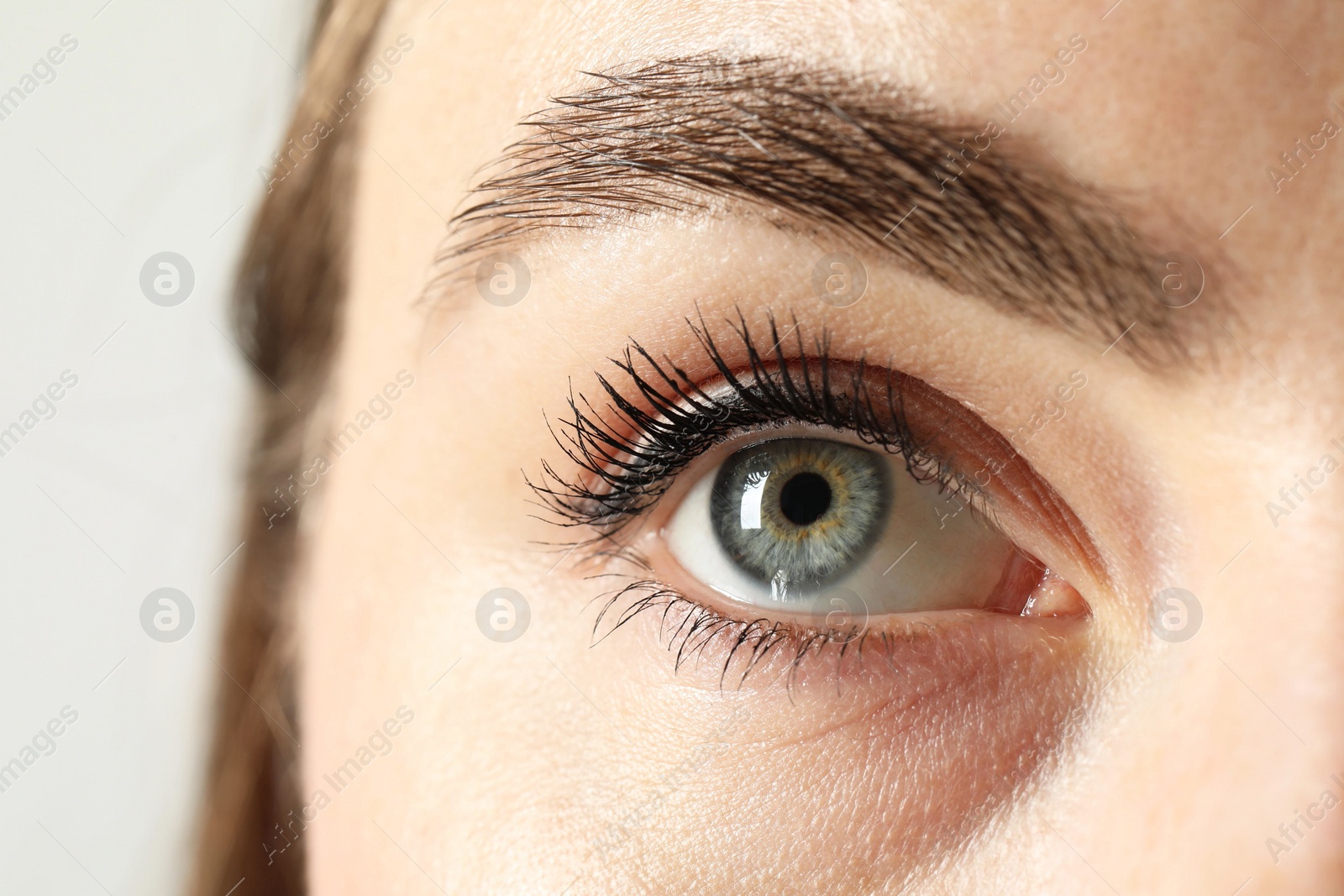 Photo of Macro photo of woman with beautiful eyes on light background