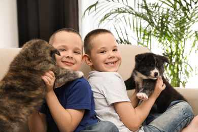 Photo of Little boys with Akita inu puppies on sofa at home. Friendly dogs