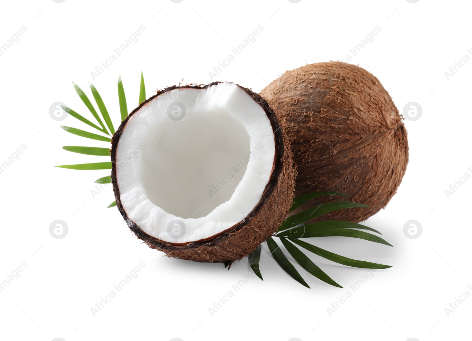 Photo of Fresh ripe coconuts with palm leaves isolated on white