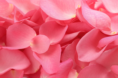 Photo of Fresh pink rose petals as background, closeup