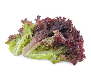 Photo of Leaves of fresh red coral lettuce isolated on white