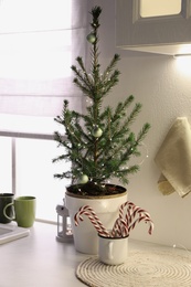 Small Christmas tree and festive decor on countertop in kitchen