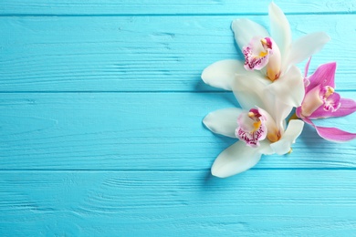 Beautiful tropical orchid flowers on blue wooden background, flat lay. Space for text