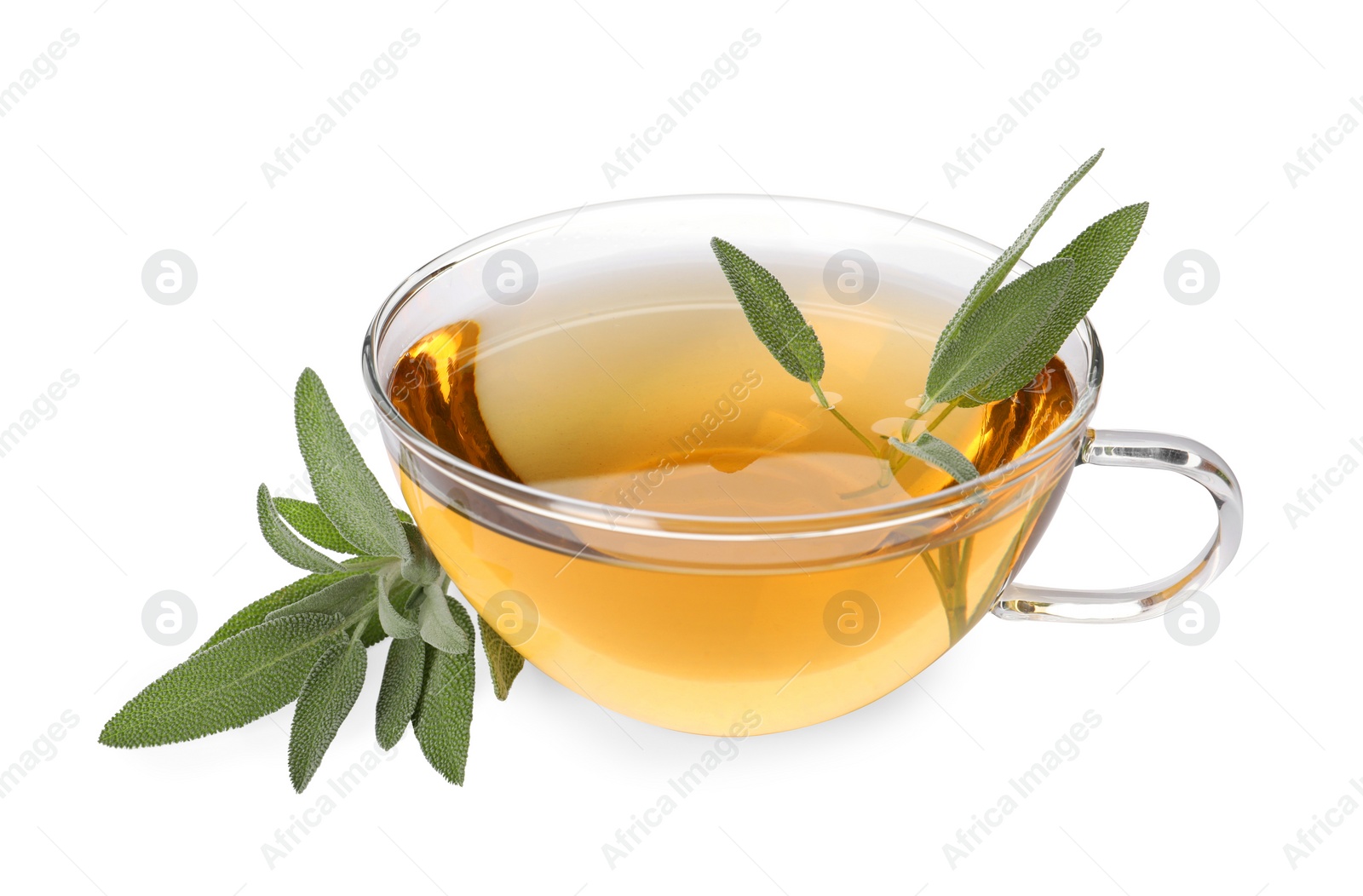 Photo of Cup of aromatic herbal tea and fresh sage isolated on white