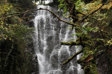 Picturesque view of beautiful mountain waterfall and green plants outdoors