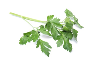 Photo of Fresh green organic parsley on white background