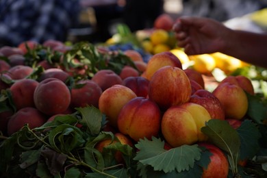 Different fresh ripe fruits on counter at market, closeup