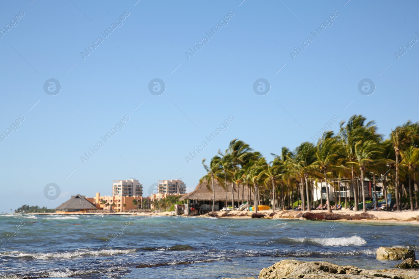 Photo of Tropical beach and sea on sunny day