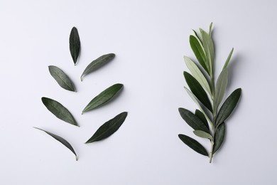 Photo of Fresh green olive leaves on white background, flat lay