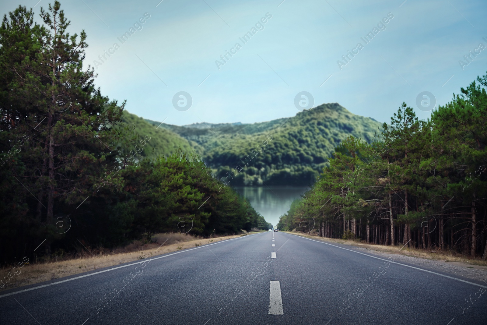 Image of Beautiful view of forest and empty asphalt road leading to mountains