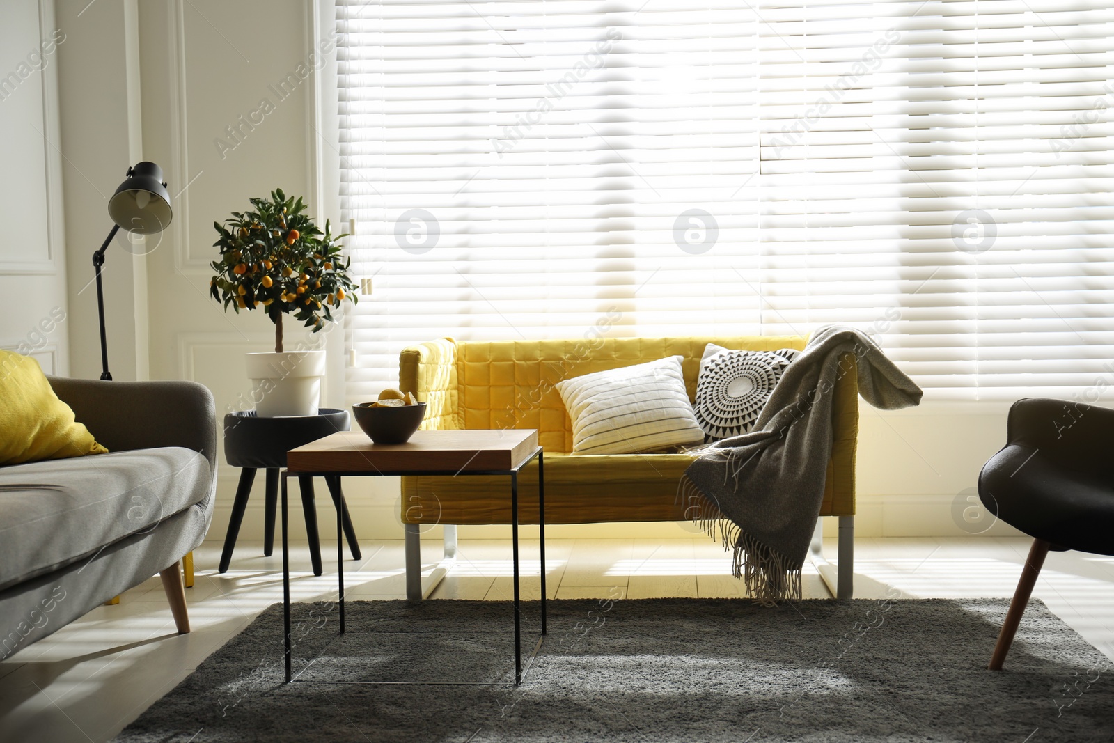 Photo of Stylish living room with sofas. Interior design in grey and yellow colors