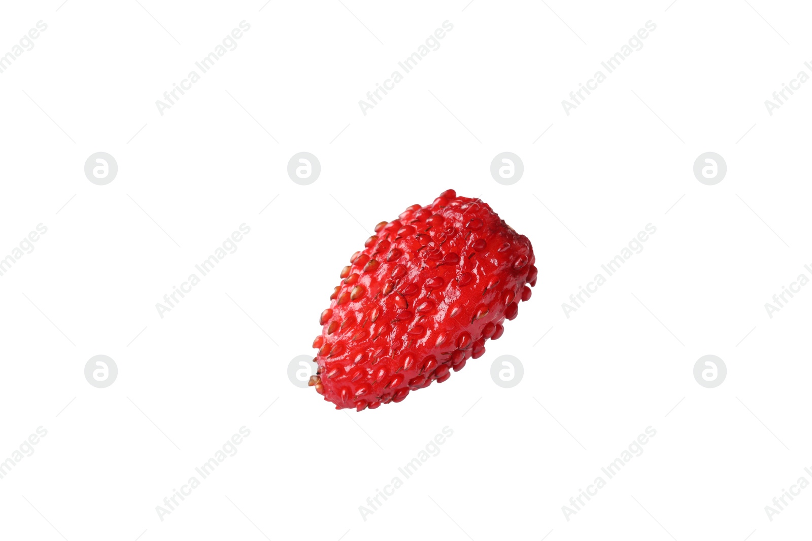 Photo of One ripe wild strawberry isolated on white