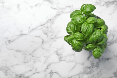 Fresh basil in pot on marble background, top view with space for text