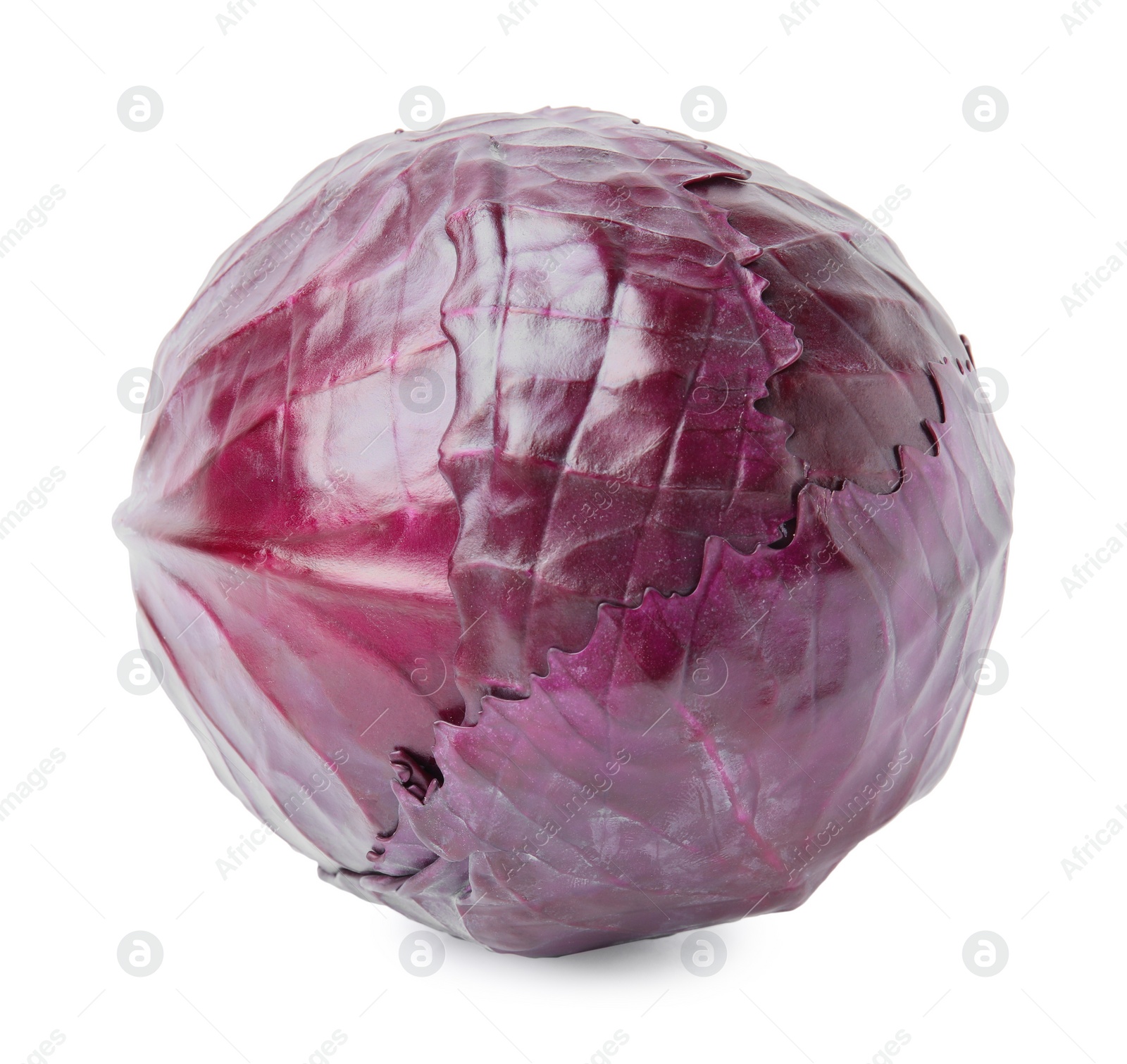 Photo of One whole red cabbage isolated on white