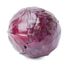 Photo of One whole red cabbage isolated on white