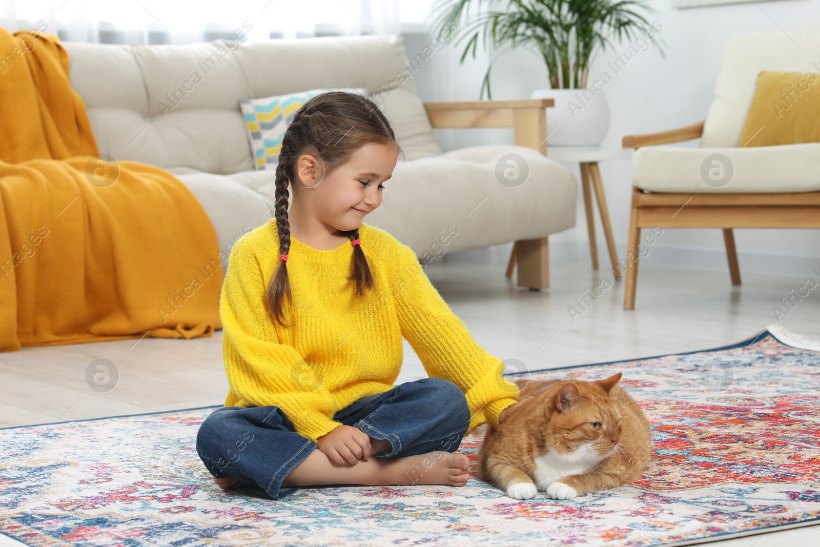 Photo of Smiling little girl petting cute ginger cat on carpet at home