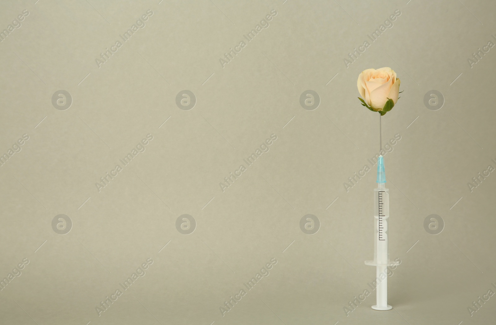 Photo of Medical syringe and rose flower on light grey background. Space for text