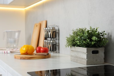 Photo of Potted artificial plant on white countertop in kitchen