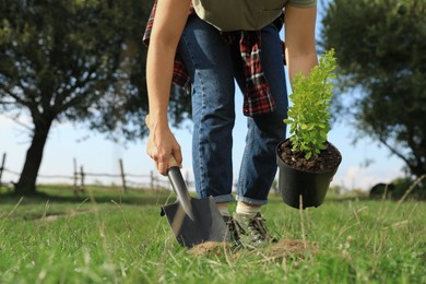 Photo of Woman planting young green tree in garden, closeup