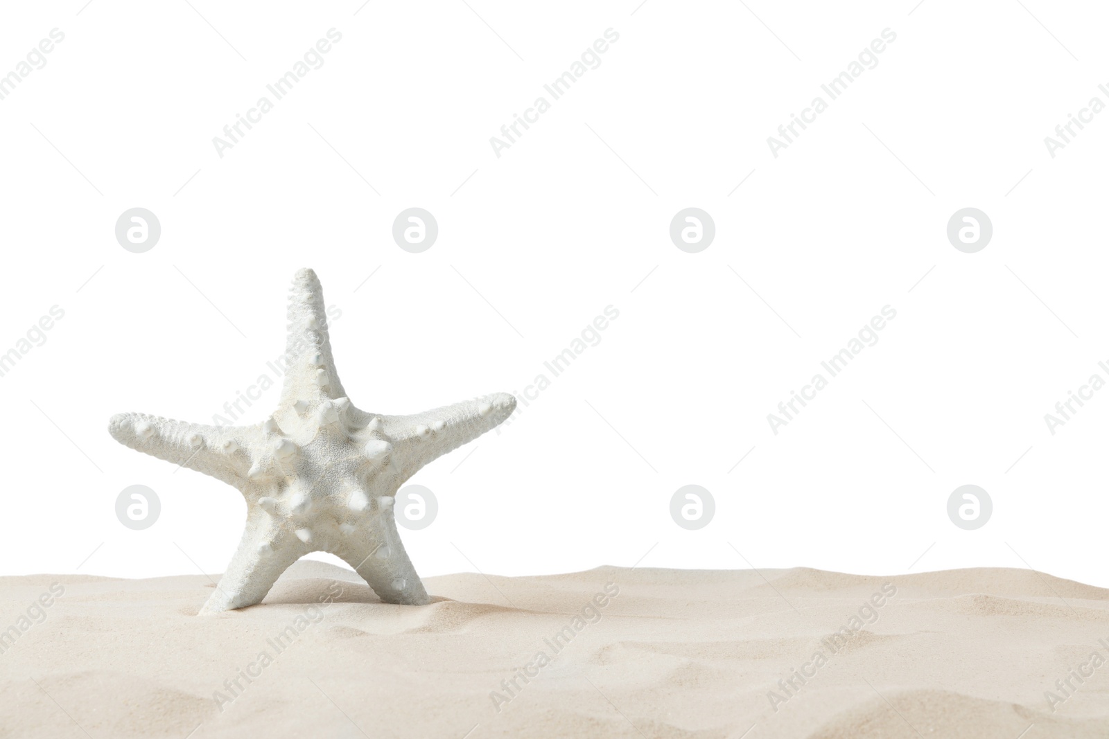 Photo of Beautiful sea star in sand on white background