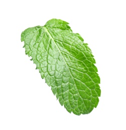 Photo of Fresh green mint leaf on white background