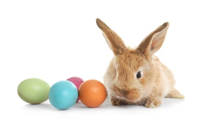 Adorable furry Easter bunny and colorful eggs on white background