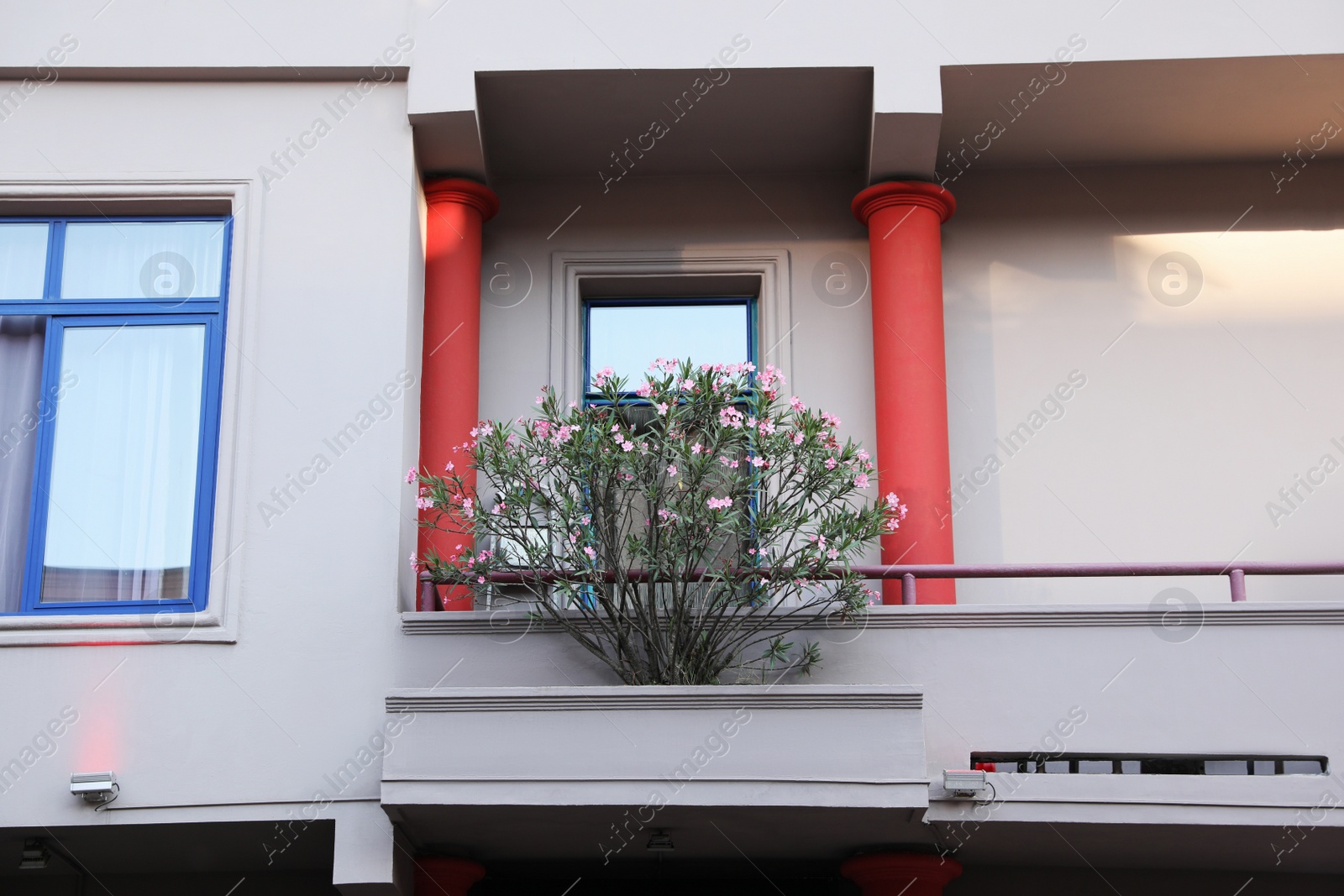 Photo of Exterior of beautiful residential building with flowers on balcony