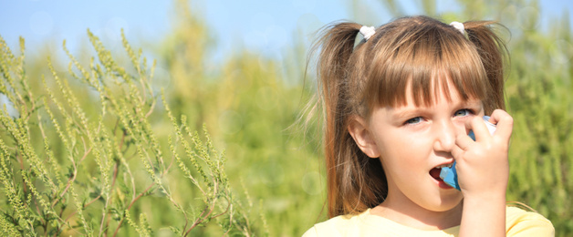 Image of Little girl with inhaler suffering from ragweed allergy outdoors, space for text. Banner design