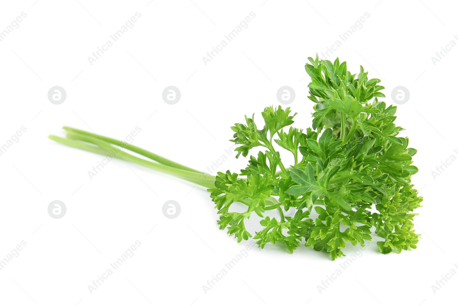 Photo of Fresh green organic parsley on white background