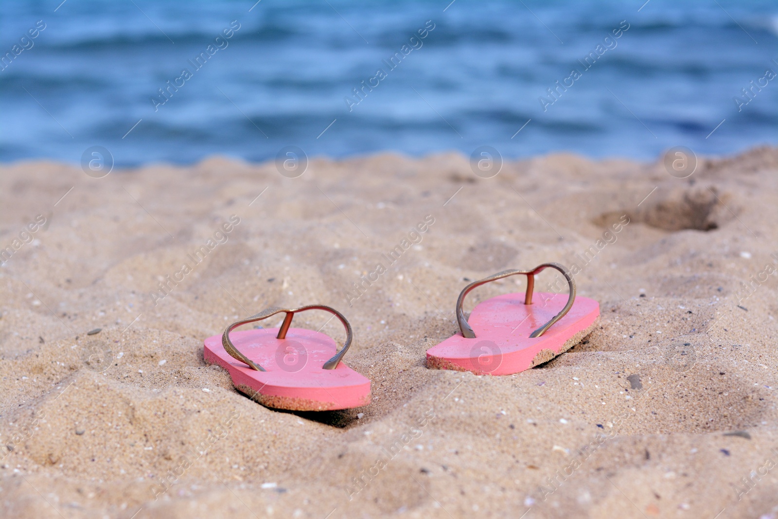 Photo of Stylish flip flops on sandy beach near sea