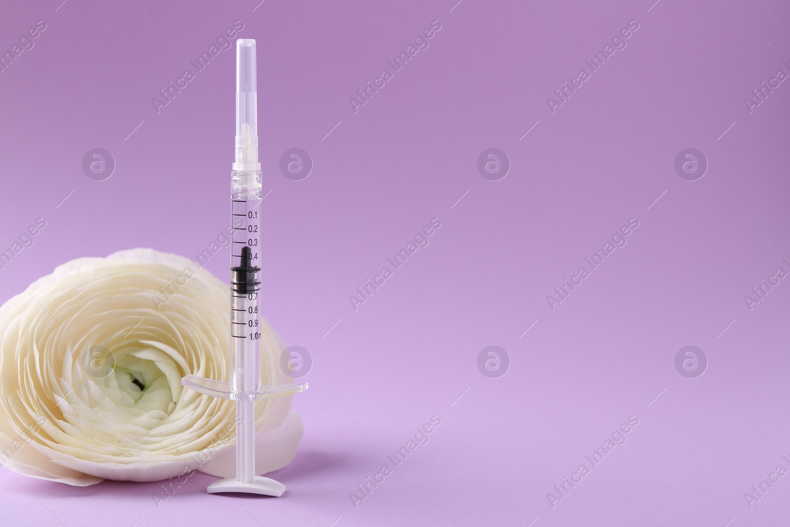 Photo of Cosmetology. Medical syringe and ranunculus flower on violet background, space for text