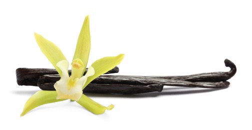 Vanilla pods and beautiful flower isolated on white