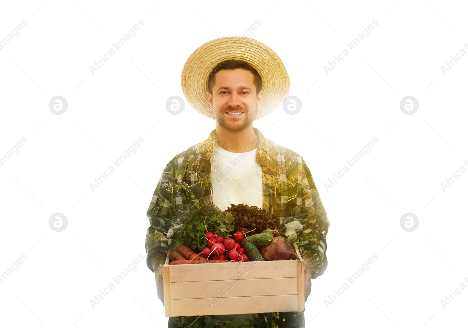 Image of Double exposure of farmer and agricultural field on white background